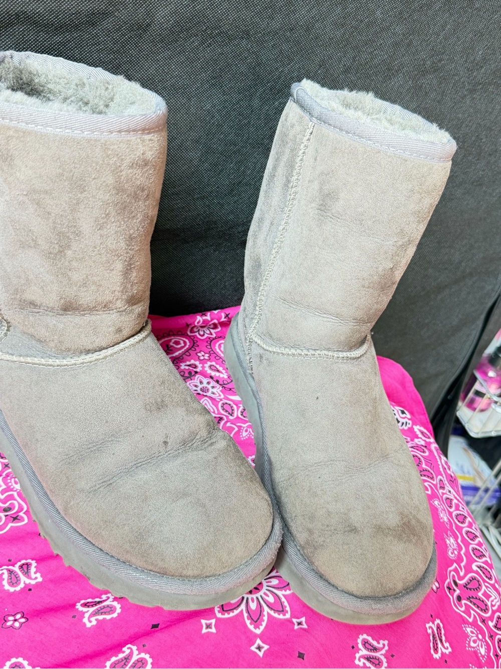 UGG Classic Short Boots in Light Taupe